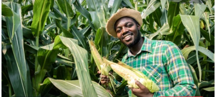 NEW STAFFS RECRUITED